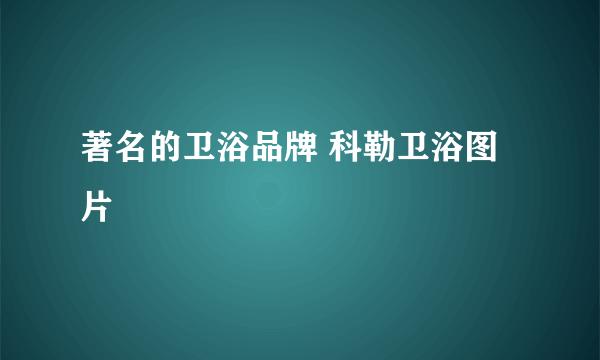 著名的卫浴品牌 科勒卫浴图片