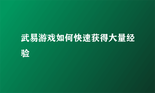 武易游戏如何快速获得大量经验