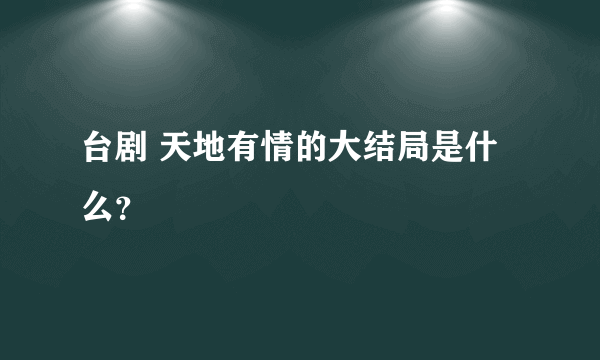 台剧 天地有情的大结局是什么？