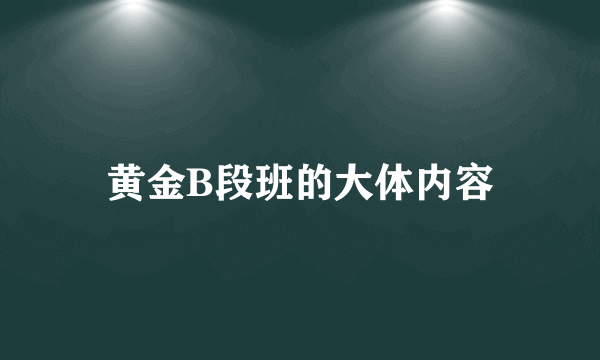 黄金B段班的大体内容