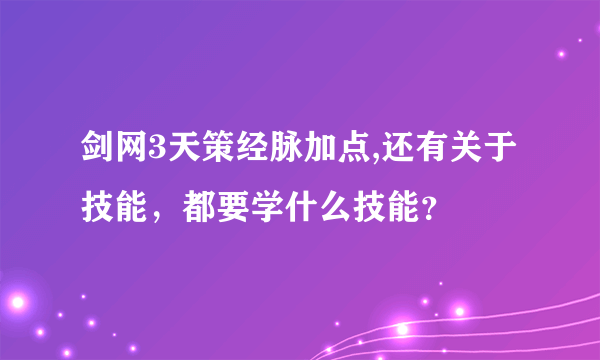 剑网3天策经脉加点,还有关于技能，都要学什么技能？