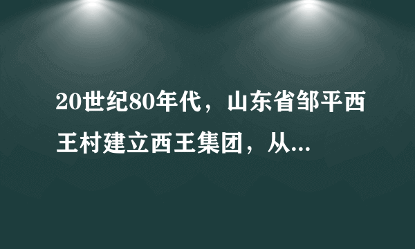 20世纪80年代，山东省邹平西王村建立西王集团，从棉油加工做起，经过努力，初步形成了完备的玉米深加工产业链条，打造了玉米油、果糖等终端品牌消费品，……这反映了西王村（　　）A.开始实行土地改革B.建起人民公社C.推行家庭联产承包责任制D.发展乡镇企业