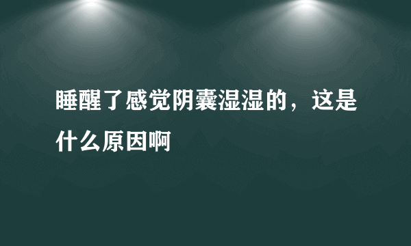 睡醒了感觉阴囊湿湿的，这是什么原因啊