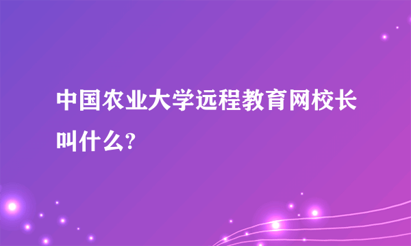 中国农业大学远程教育网校长叫什么?