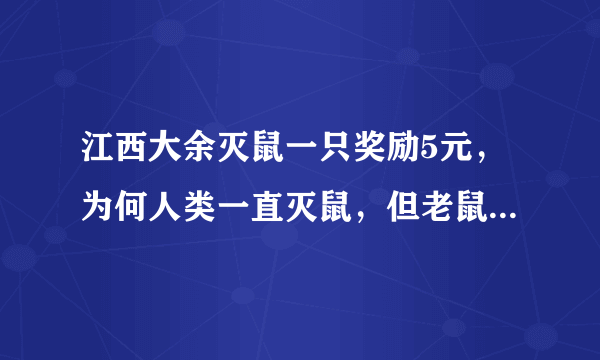 江西大余灭鼠一只奖励5元，为何人类一直灭鼠，但老鼠依然是四害之一？