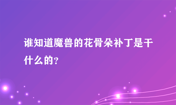 谁知道魔兽的花骨朵补丁是干什么的？