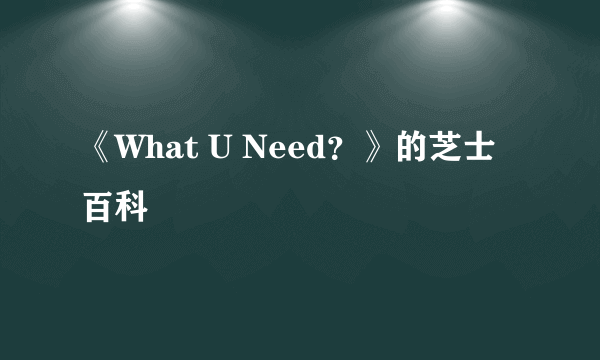 《What U Need？》的芝士百科