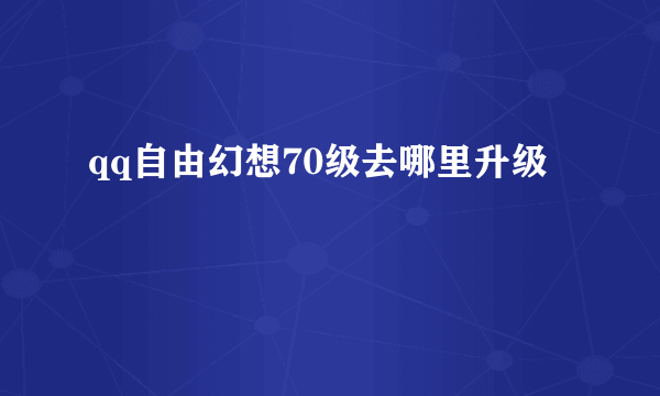 qq自由幻想70级去哪里升级