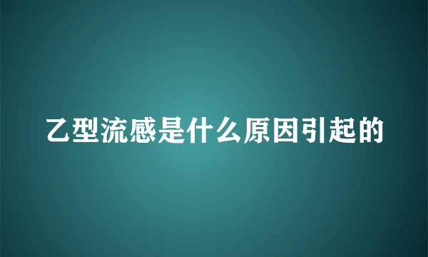 乙型流感是什么原因引起的