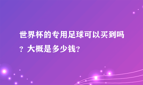 世界杯的专用足球可以买到吗？大概是多少钱？