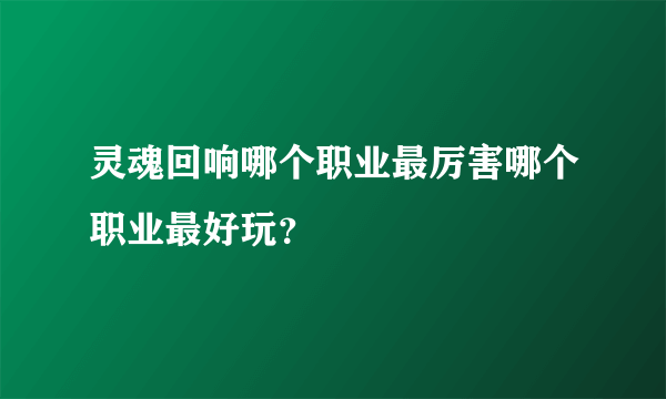 灵魂回响哪个职业最厉害哪个职业最好玩？