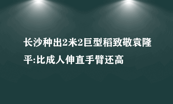 长沙种出2米2巨型稻致敬袁隆平:比成人伸直手臂还高