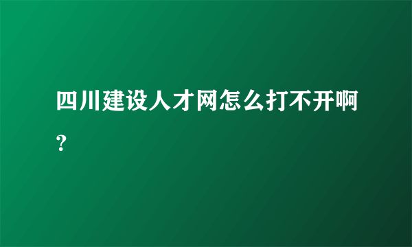 四川建设人才网怎么打不开啊？