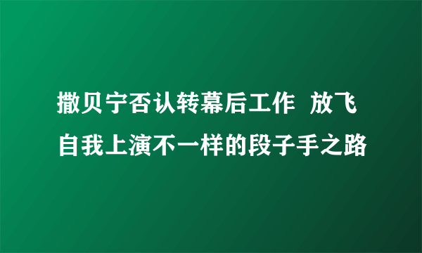 撒贝宁否认转幕后工作  放飞自我上演不一样的段子手之路