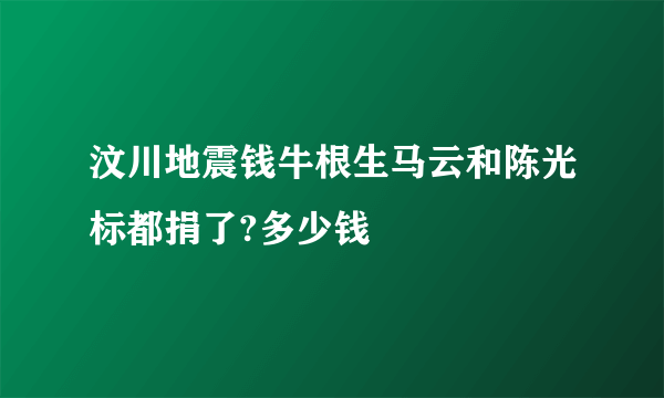 汶川地震钱牛根生马云和陈光标都捐了?多少钱