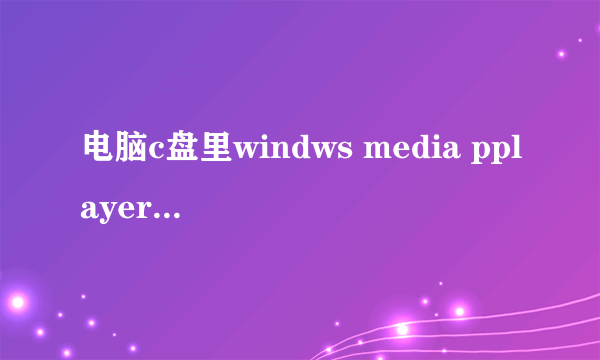 电脑c盘里windws media pplayer是什么文件，有什么用途，能否删除