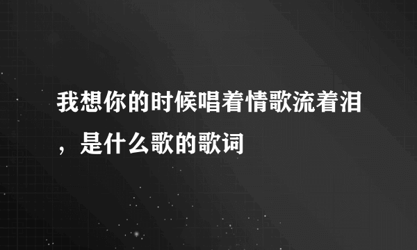 我想你的时候唱着情歌流着泪，是什么歌的歌词