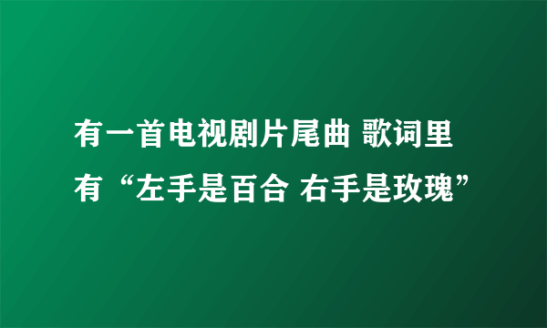 有一首电视剧片尾曲 歌词里有“左手是百合 右手是玫瑰”