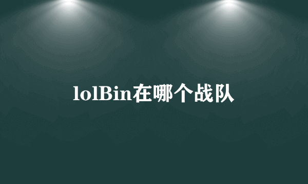 lolBin在哪个战队