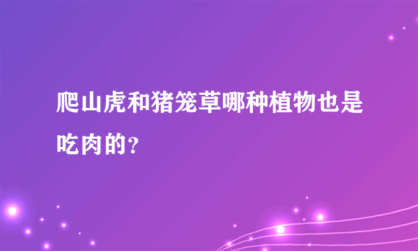 爬山虎和猪笼草哪种植物也是吃肉的？