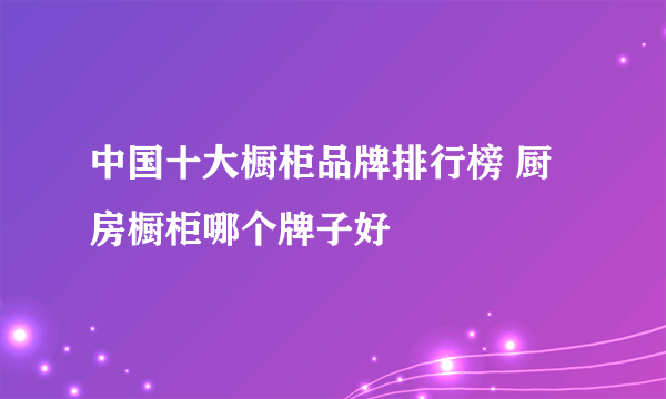 中国十大橱柜品牌排行榜 厨房橱柜哪个牌子好