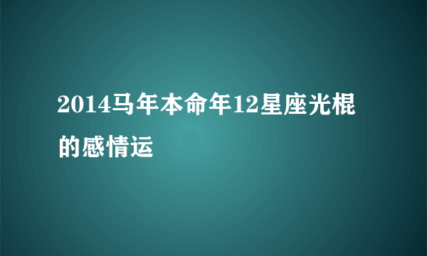 2014马年本命年12星座光棍的感情运