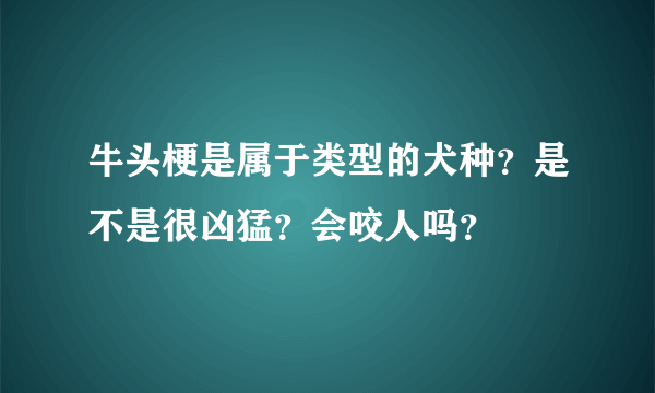 牛头梗是属于类型的犬种？是不是很凶猛？会咬人吗？