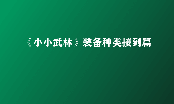 《小小武林》装备种类接到篇