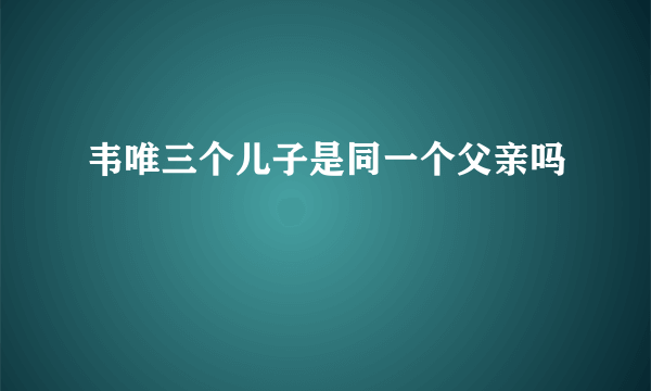 韦唯三个儿子是同一个父亲吗