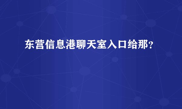 东营信息港聊天室入口给那？