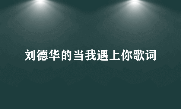 刘德华的当我遇上你歌词