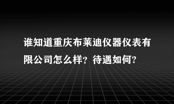 谁知道重庆布莱迪仪器仪表有限公司怎么样？待遇如何?