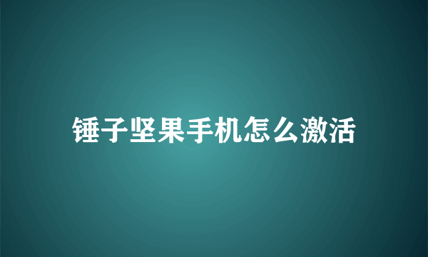 锤子坚果手机怎么激活