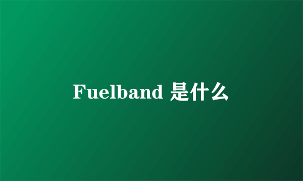 Fuelband 是什么