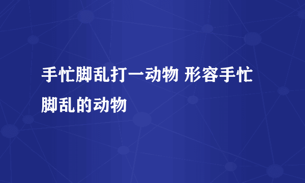 手忙脚乱打一动物 形容手忙脚乱的动物