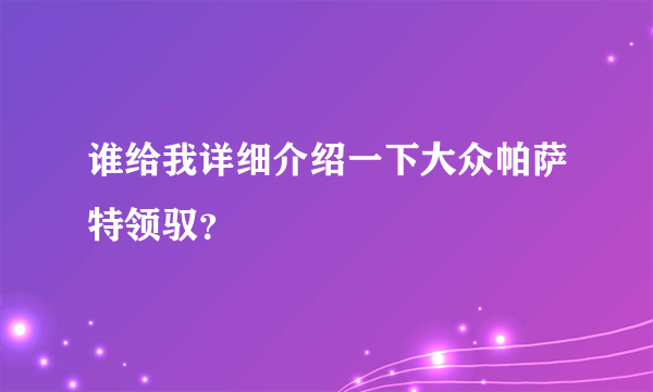 谁给我详细介绍一下大众帕萨特领驭？