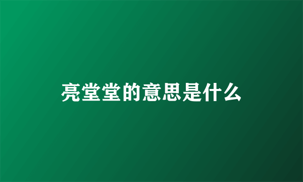 亮堂堂的意思是什么