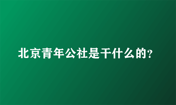 北京青年公社是干什么的？