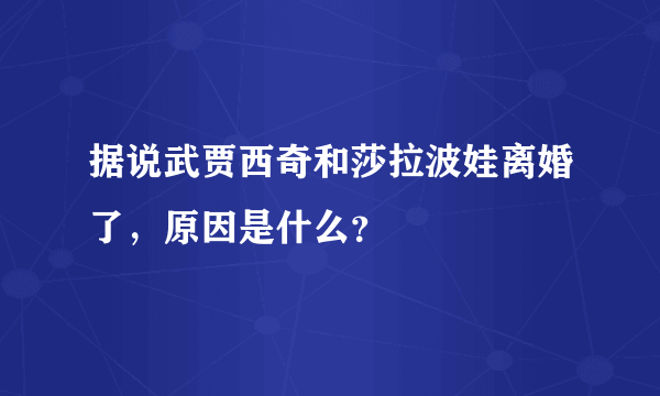 据说武贾西奇和莎拉波娃离婚了，原因是什么？