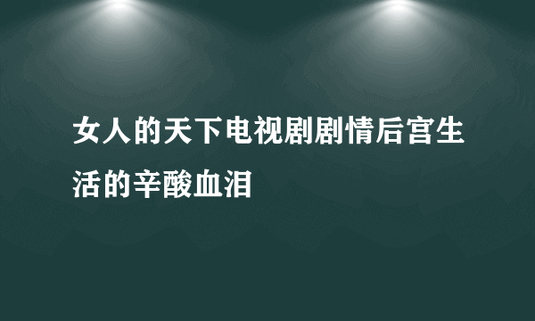 女人的天下电视剧剧情后宫生活的辛酸血泪