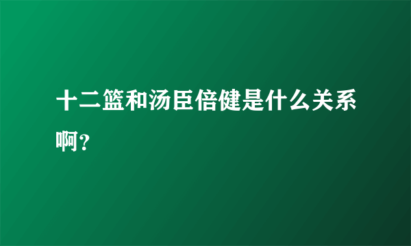 十二篮和汤臣倍健是什么关系啊？