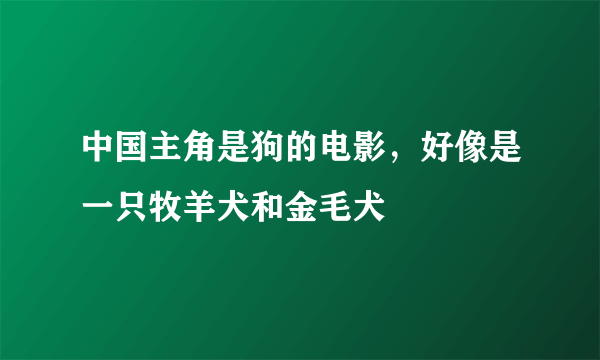 中国主角是狗的电影，好像是一只牧羊犬和金毛犬