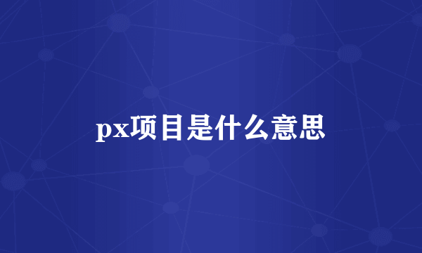 px项目是什么意思