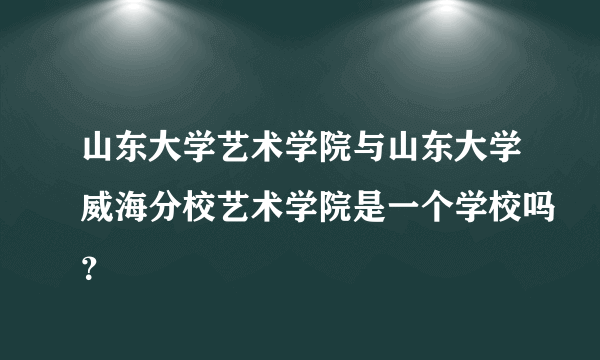 山东大学艺术学院与山东大学威海分校艺术学院是一个学校吗？