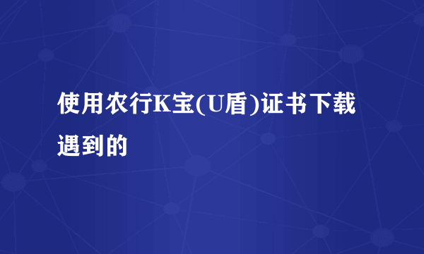 使用农行K宝(U盾)证书下载遇到的問題