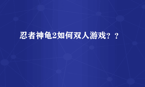 忍者神龟2如何双人游戏？？