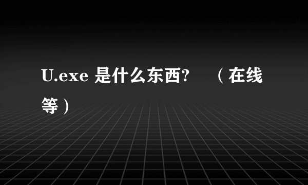 U.exe 是什么东西?    （在线等）