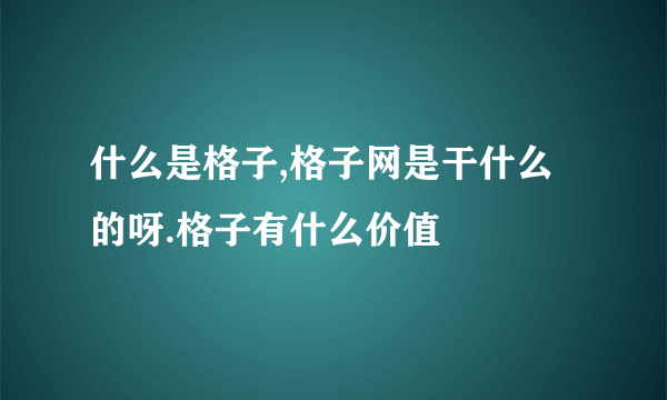 什么是格子,格子网是干什么的呀.格子有什么价值