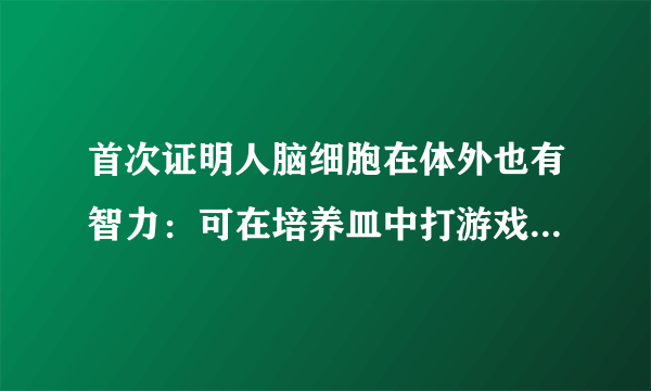 首次证明人脑细胞在体外也有智力：可在培养皿中打游戏，这意味着啥？