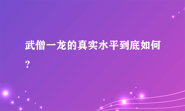 武僧一龙的真实水平到底如何？